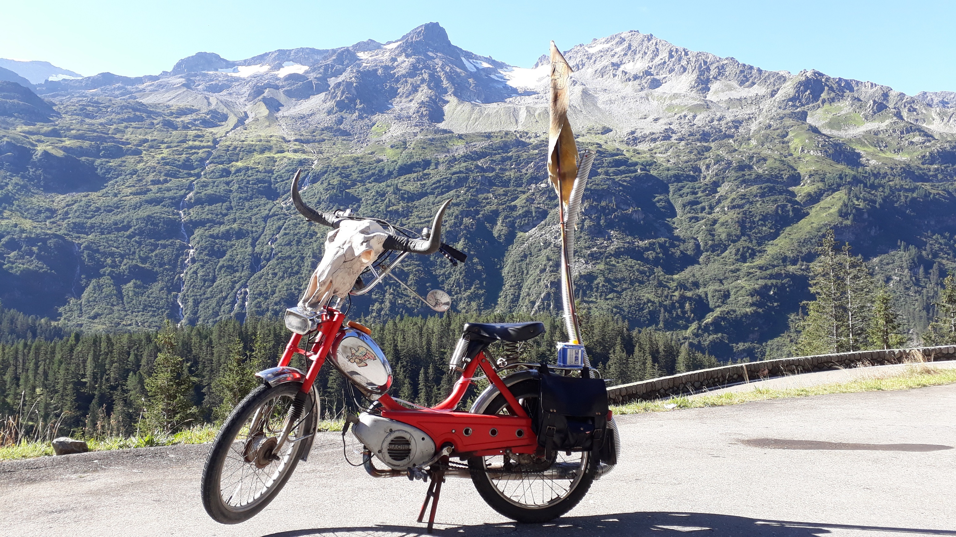 Sachs 503 Bad Ass Pandora