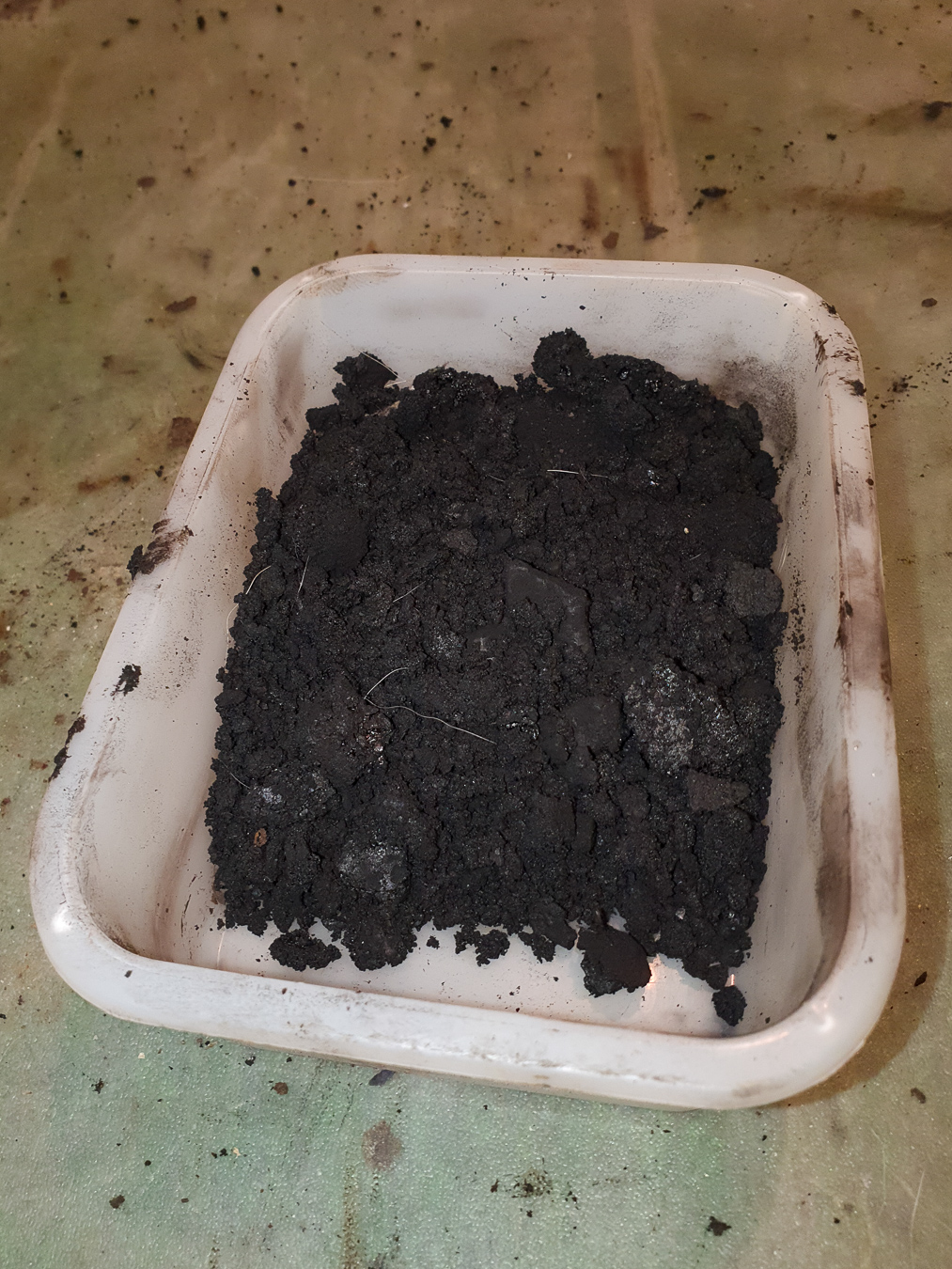 20201219_142443-Instagram.jpg