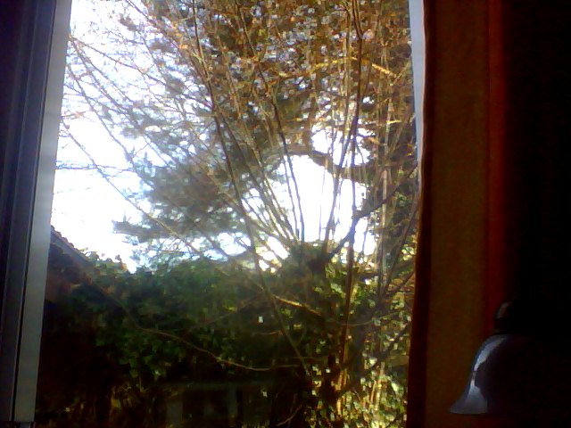 Snapshot_20121231_3.JPG