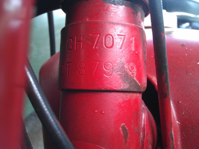 IMAG0416.jpg