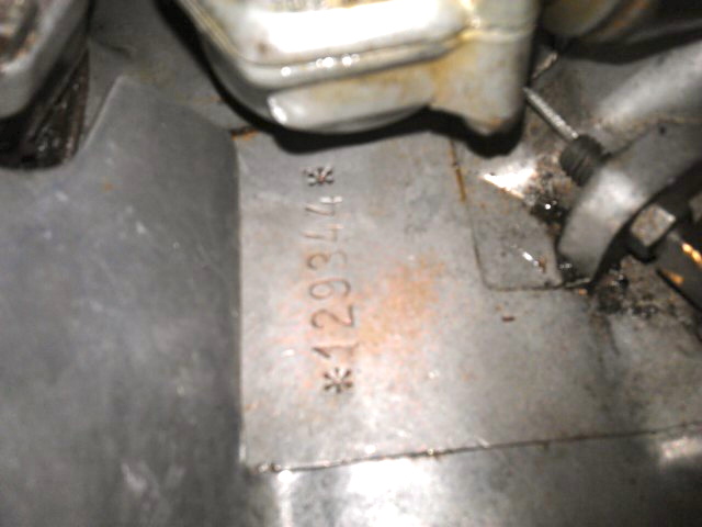 IMAG0438.jpg
