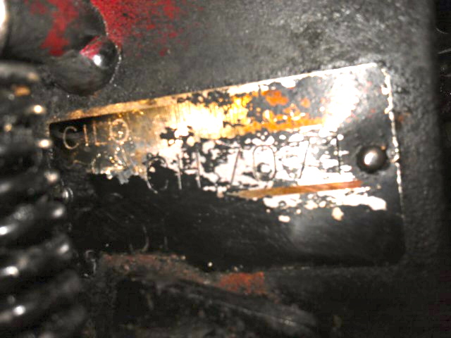 IMAG0443.jpg