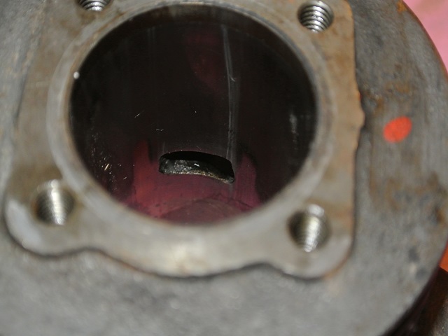 DSC_3150.JPG