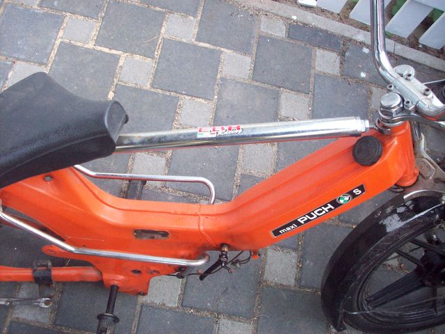100_10391qul.jpg