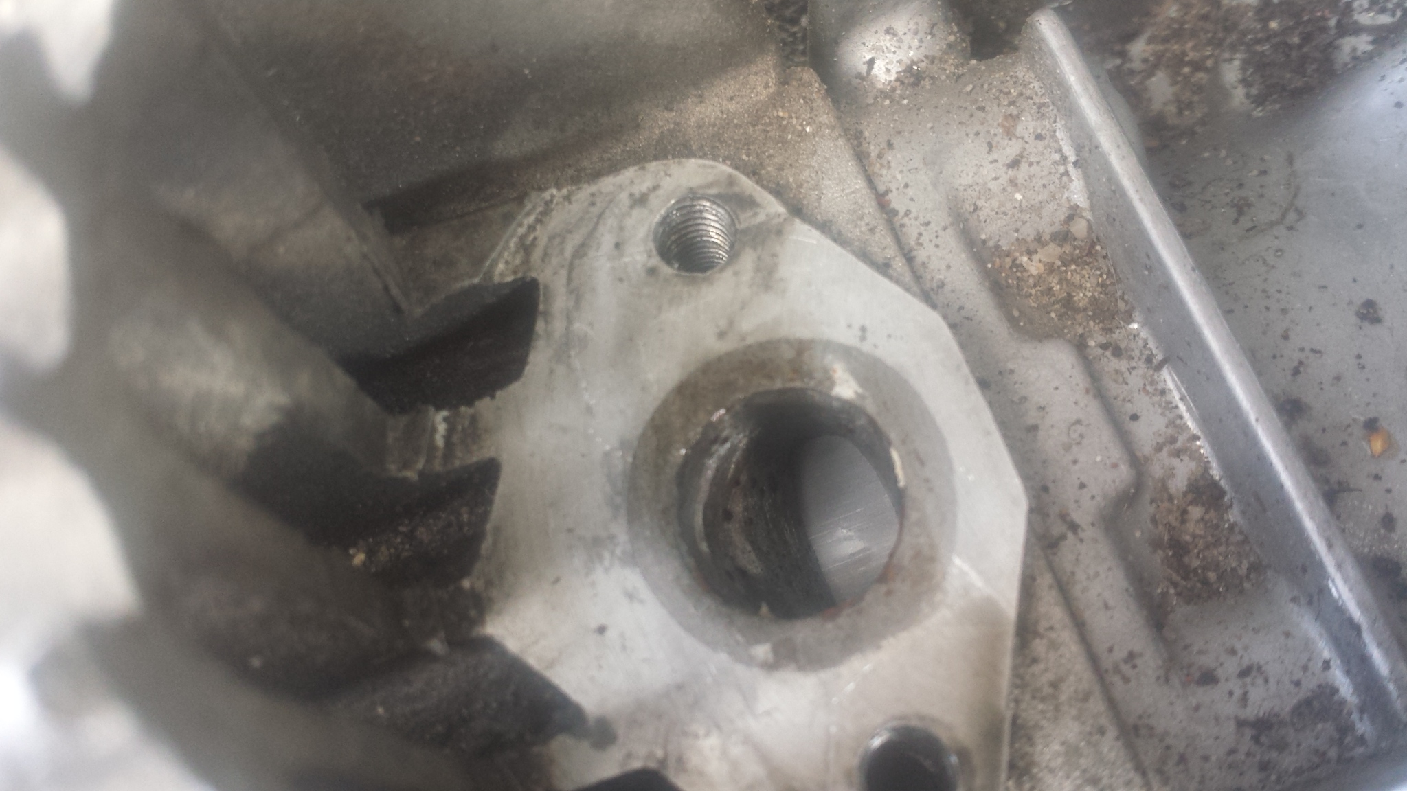 20140808_151913.jpg