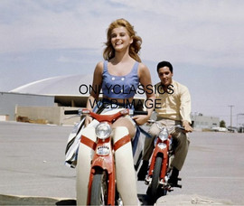 Elvis1.jpg